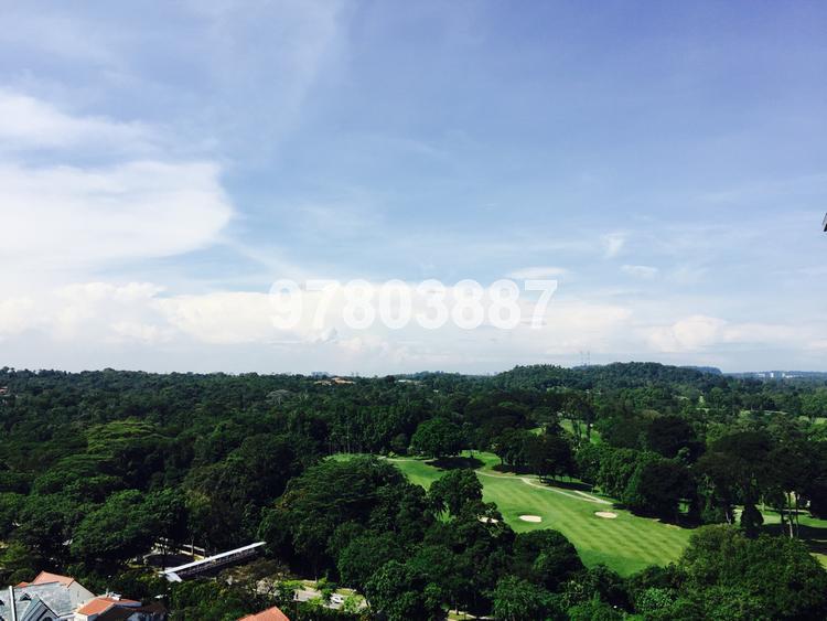Thomson Grand thumbnail photo